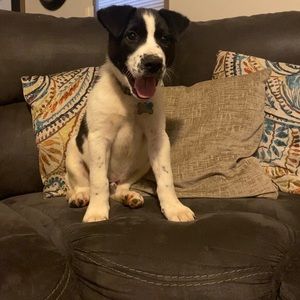 Meet your Posher, Faith